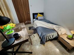 Parc Oasis (D22), Condominium #458023821
